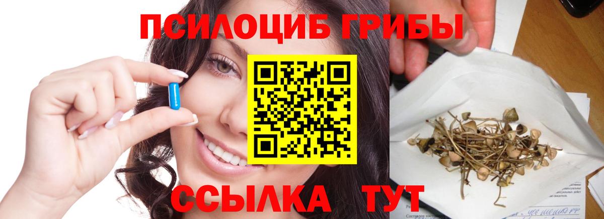 Псилоцибиновые грибы Psilocybine cubensis  Вход с VPN  Псилоцибиновые грибы Magic Shrooms  Лесосибирск 