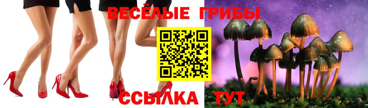 Псилоцибиновые грибы ЛСД Лесосибирск